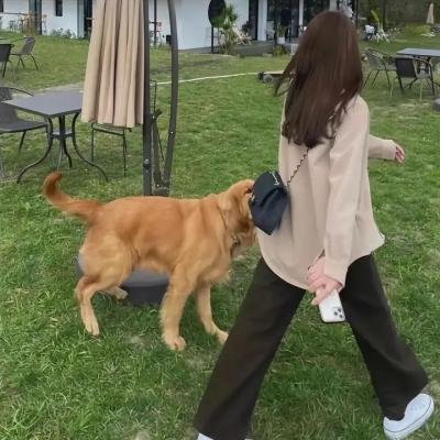 我的家乡好美第二季